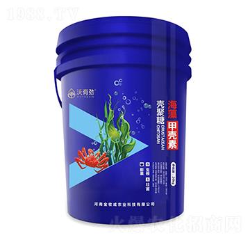 ����ך���-���Є�-���ճ�