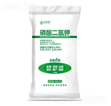 ��������-���Є�-���ճ�