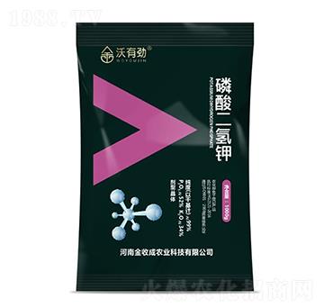 1000g��������-���Є�-���ճ�