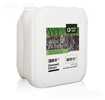 ���r�S-�����-������