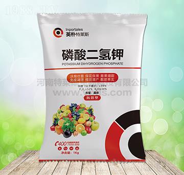 ��������-Ӣ�����R˹