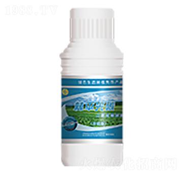 ������̼������-��ƽ��̼