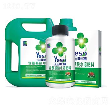 柿子專用含氨基酸水溶肥料-葉盛生物