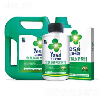 柚子專用含氨基酸水溶肥料-葉盛生物