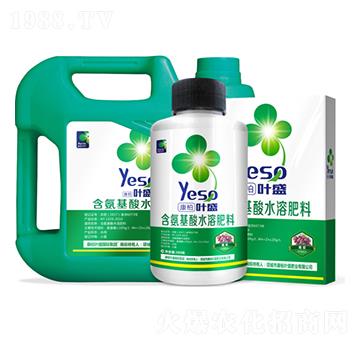 葡萄專(zhuān)用含氨基酸水溶肥料-葉盛生物