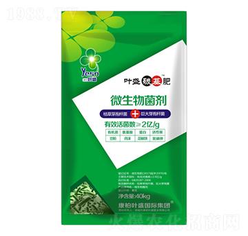 葉盛碳基肥-葉盛生物