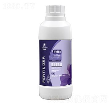 �Ǵ������V-Ӣܽ�R-���A����