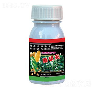 ���׿����������a����-����Ԫ-��������