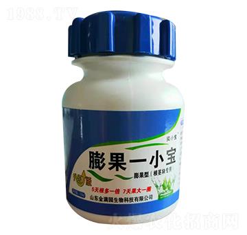 膨果一小寶（根莖塊專用）-金滿園