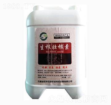 �����Ѹ���-����Ԋ(sh��)