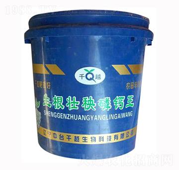 生根壯秧磷鈣王-千越