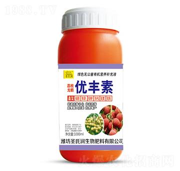 ��֦���ۃ�(y��u)�S��-ʥ�ϝ�