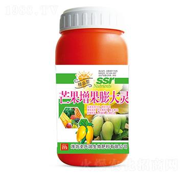 â����������`-ʥ�ϝ�