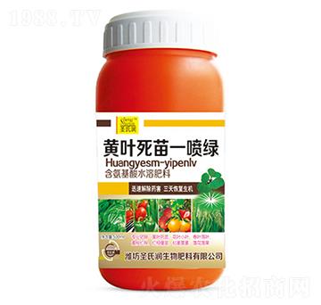 �S�~����һ���G-ʥ�ϝ�