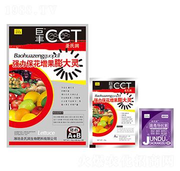 ��(qi��ng)��������������`-���S-ʥ�ϝ�