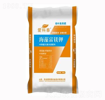 ���帻�V�-��(��i)��̩