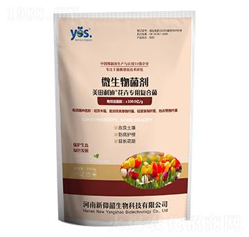 ���܌��Ï�(f��)�Ͼ�-��������-������