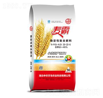 ��(w��n)���ԏ�(f��)�Ϸ���20-20-6-����-���r(n��ng)���R