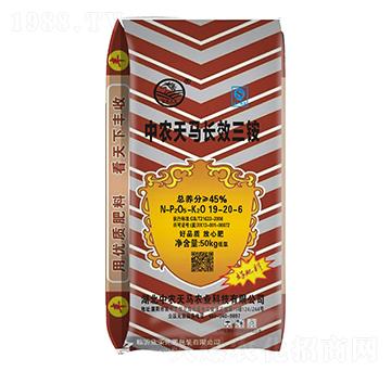 �LЧ���@19-20-6-���r���R