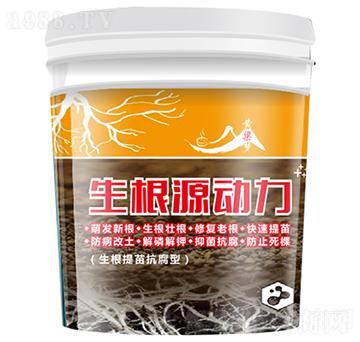 生根源動力-黃粱夢-紫州農(nóng)業(yè)