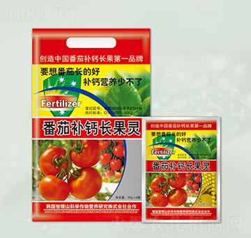 番茄補(bǔ)鈣長果靈-晶園肥料