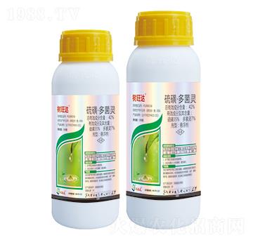 42%��ǡ�����`-�����_(d��)-��(y��u)���_(d��)