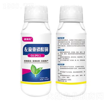 �����������~-�ξGԪ