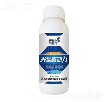 ������̼������-��̼�˄���-����Ԫ-�����r�I(y��)