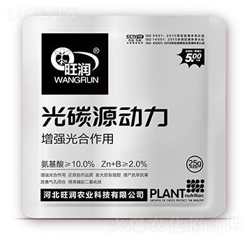 ����(qi��ng)�������-��̼Դ��(d��ng)��-�����r(n��ng)�I(y��)