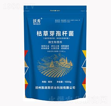 �ݲ�ѿ�ߗU��-����-�P