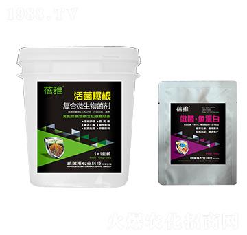 �ͺ�΢�������-1+1