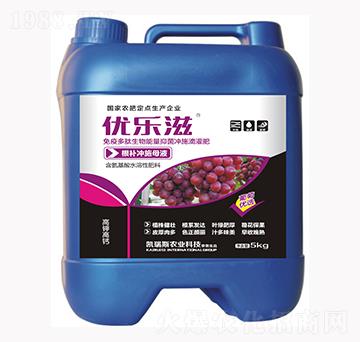 ���у�(y��u)�x���a�_ʩĸҺ-