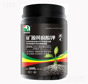 �VԴ�S����⛣�1000