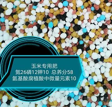 ���׌��ð����ḯֲ����΢��Ԫ��26-12-10-���r(n��ng)�r(n��ng)�I(y��)