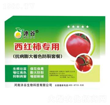 ���t�����ÿ��������ɫ�����ײ�-�������