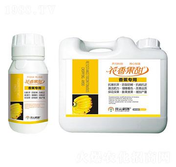 香蕉專用-花香果甜-科美植物