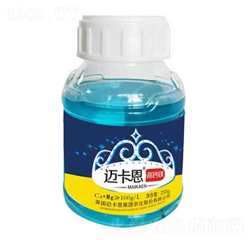 ���}�V-�~����-��������