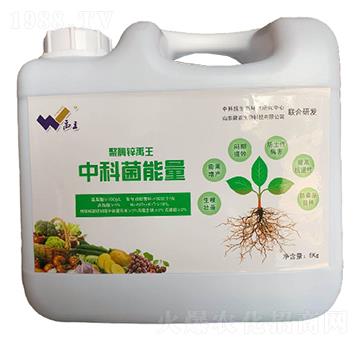 �пƾ�����-���r����