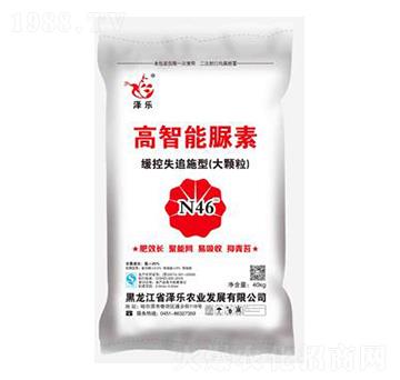 ����������-�ɘ�