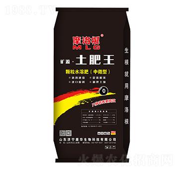 �w��ˮ�ܷʣ���΢�ͣ�-Ħ���-���A����