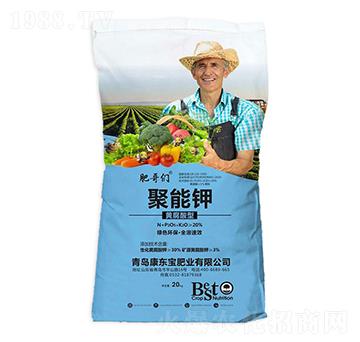 �S�����;����-�ʸ炃-���|��