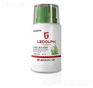 藻朊酸果不裂-樂(lè)道夫