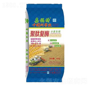 ���ď�øС�����Ó����19-21-5-�θ���