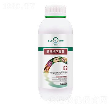 �W�ֵ������-�W�m��