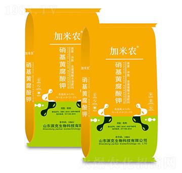 �����S�����-�����r