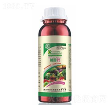 �Ǵ��}-��������