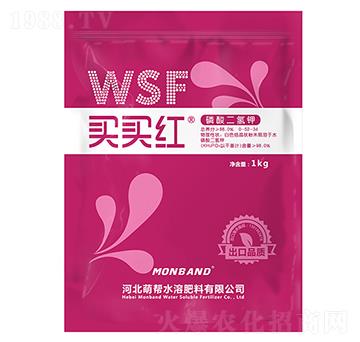 ��������-�I�I�t-��