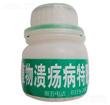 ֲ����ط�-¡����