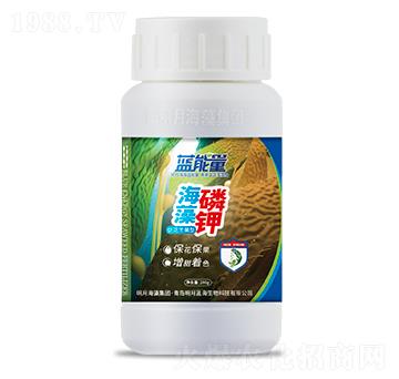 �ٻ��S���ͺ������-�{