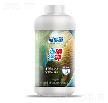 1kg�ٻ��S���ͺ�����